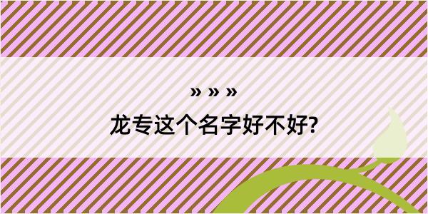 龙专这个名字好不好?