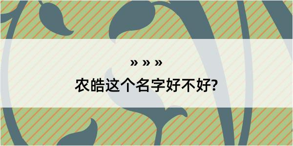 农皓这个名字好不好?