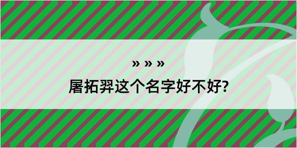 屠拓羿这个名字好不好?