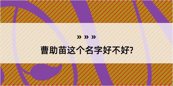 曹助苗这个名字好不好?