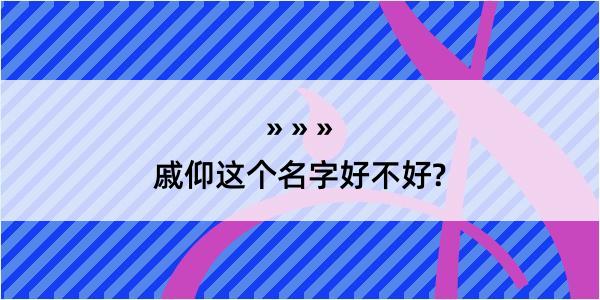 戚仰这个名字好不好?