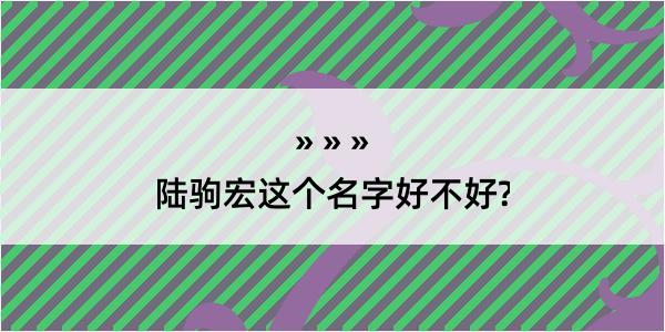 陆驹宏这个名字好不好?