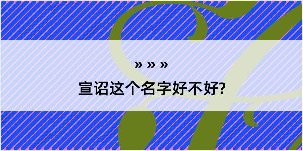 宣诏这个名字好不好?