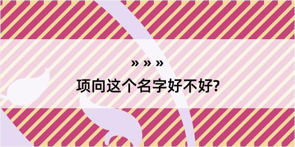 项向这个名字好不好?