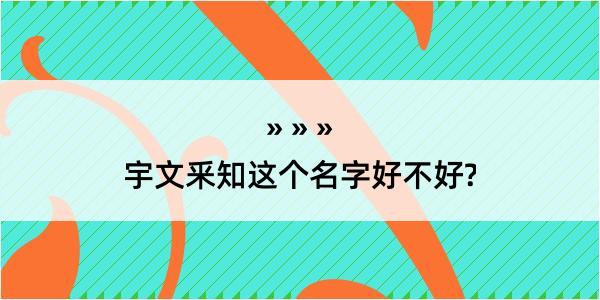 宇文釆知这个名字好不好?