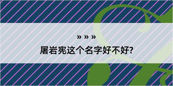 屠岩宪这个名字好不好?