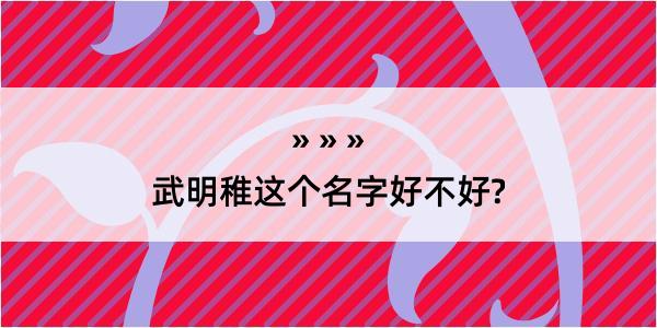 武明稚这个名字好不好?