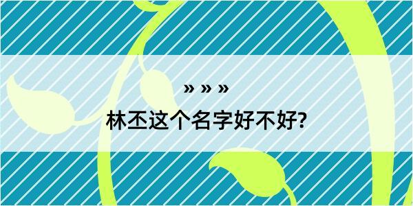 林丕这个名字好不好?