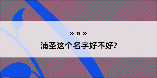 浦圣这个名字好不好?