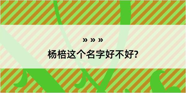 杨棓这个名字好不好?