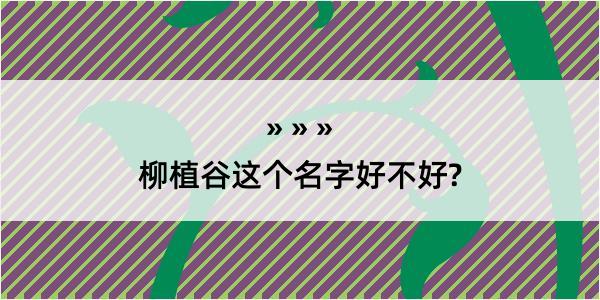 柳植谷这个名字好不好?