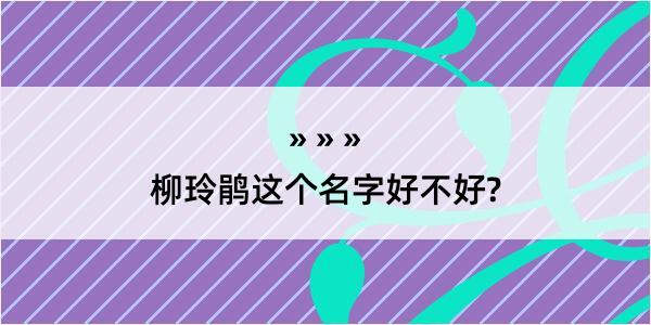 柳玲鹃这个名字好不好?