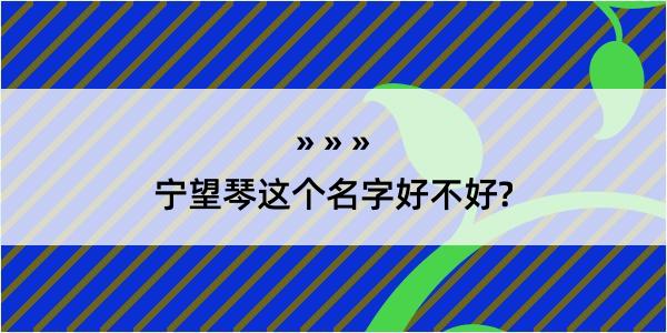 宁望琴这个名字好不好?