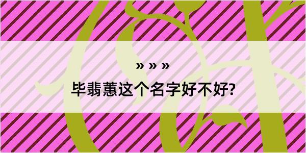 毕翡蕙这个名字好不好?