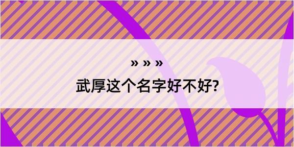 武厚这个名字好不好?