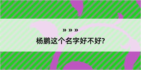 杨鹏这个名字好不好?