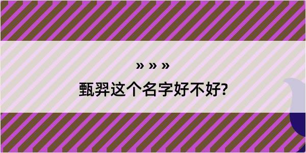 甄羿这个名字好不好?