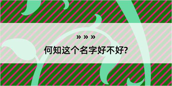 何知这个名字好不好?