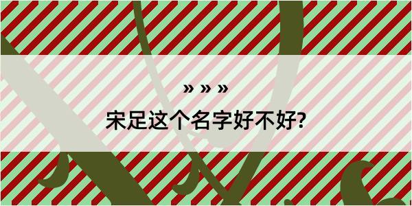 宋足这个名字好不好?