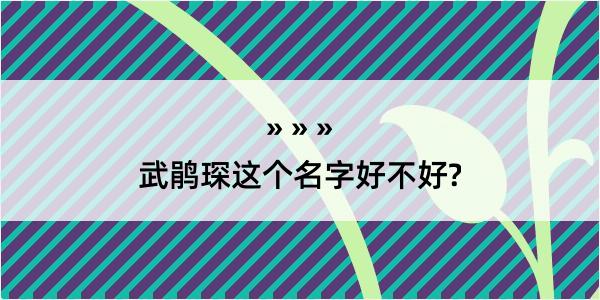 武鹃琛这个名字好不好?