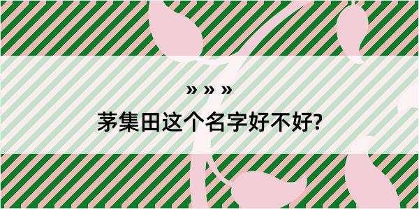 茅集田这个名字好不好?