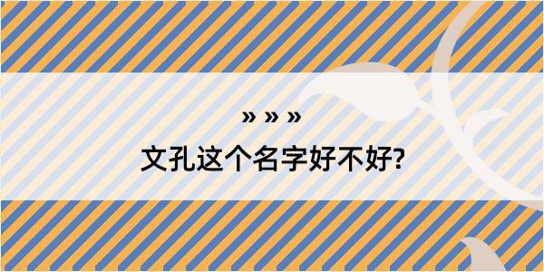 文孔这个名字好不好?