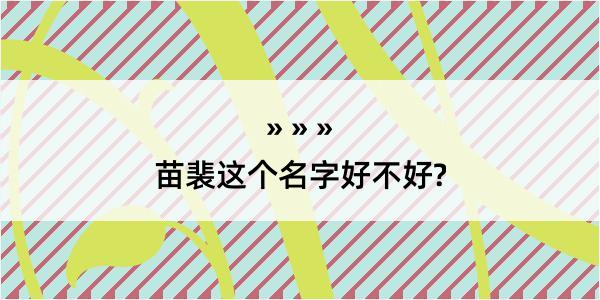 苗裴这个名字好不好?