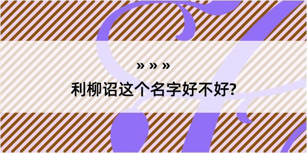 利柳诏这个名字好不好?