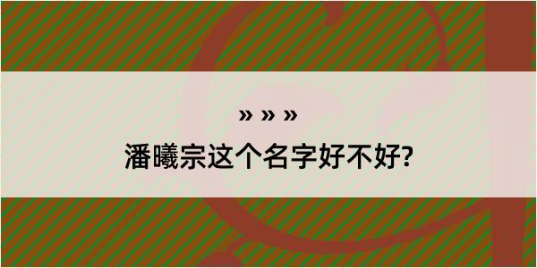 潘曦宗这个名字好不好?