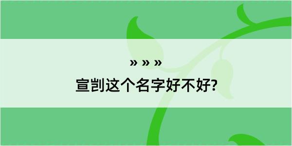 宣剀这个名字好不好?