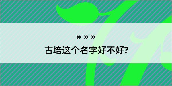 古培这个名字好不好?