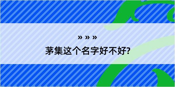 茅集这个名字好不好?