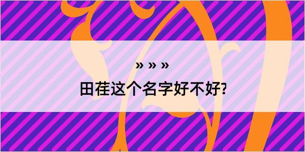 田荏这个名字好不好?