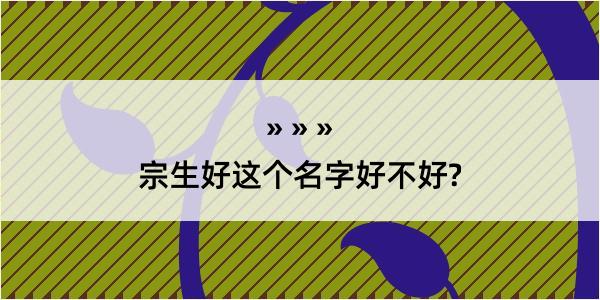 宗生好这个名字好不好?