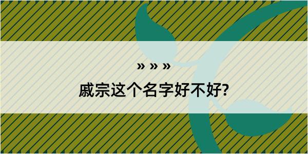 戚宗这个名字好不好?