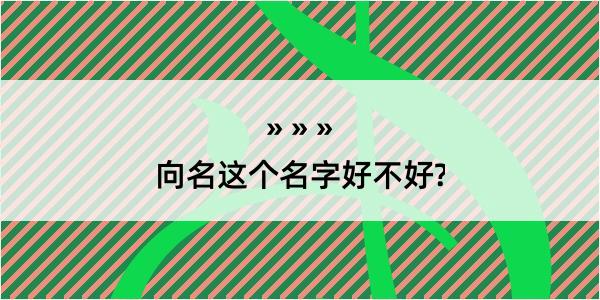 向名这个名字好不好?