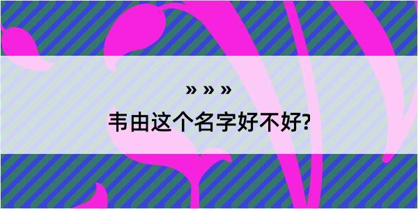 韦由这个名字好不好?