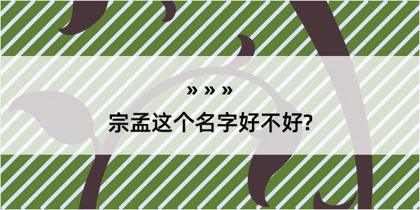 宗孟这个名字好不好?