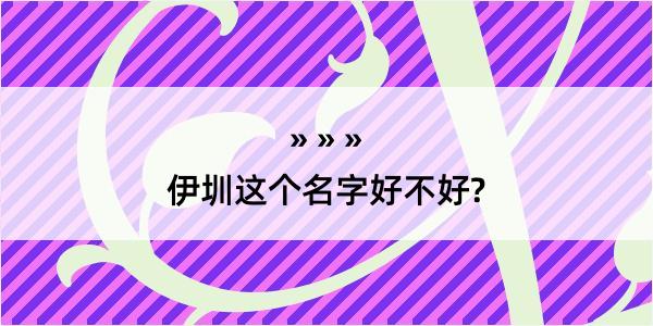 伊圳这个名字好不好?