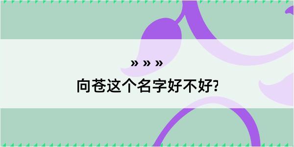 向苍这个名字好不好?