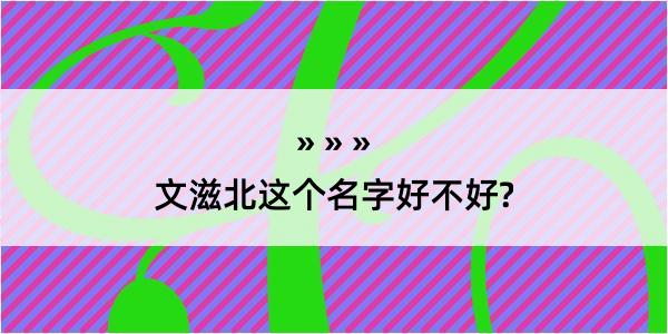 文滋北这个名字好不好?