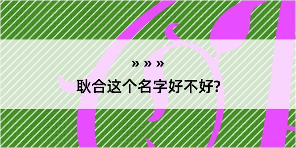 耿合这个名字好不好?