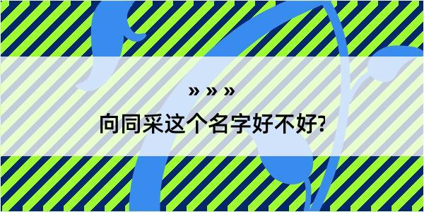 向同采这个名字好不好?