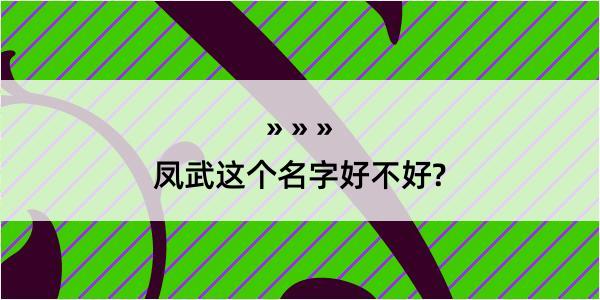 凤武这个名字好不好?