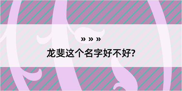 龙斐这个名字好不好?