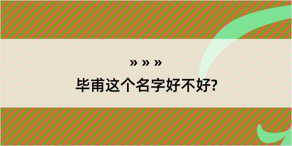 毕甫这个名字好不好?