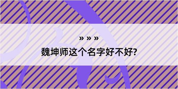 魏坤师这个名字好不好?