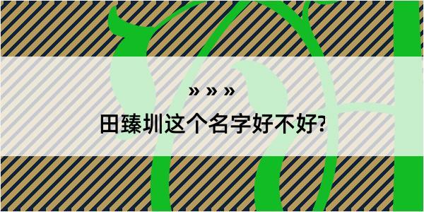 田臻圳这个名字好不好?