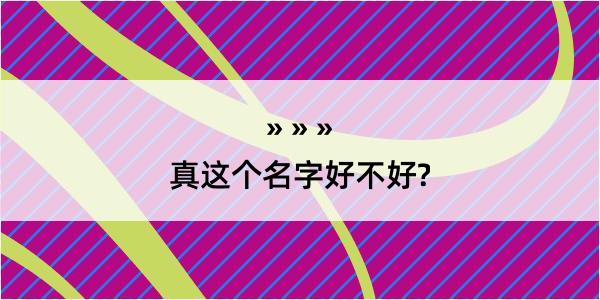 真这个名字好不好?