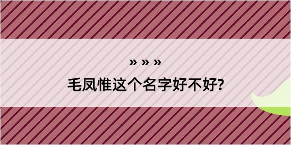 毛凤惟这个名字好不好?